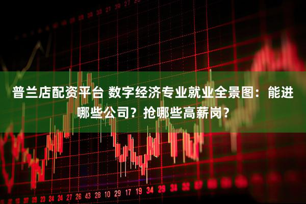 普兰店配资平台 数字经济专业就业全景图：能进哪些公司？抢哪些高薪岗？